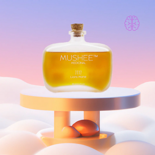 1111 | Lions Mane