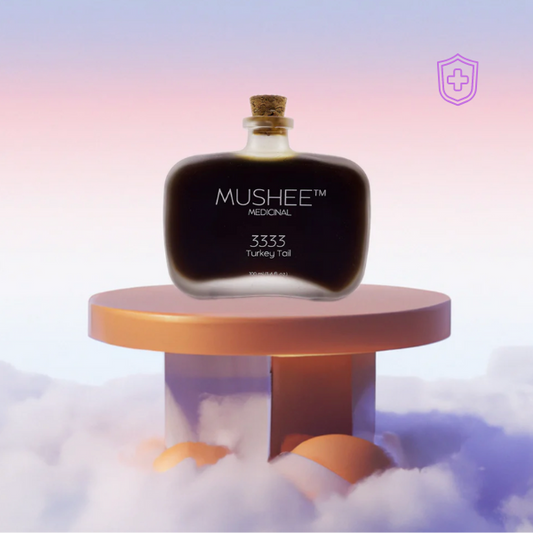 3333 | Turkey Tail