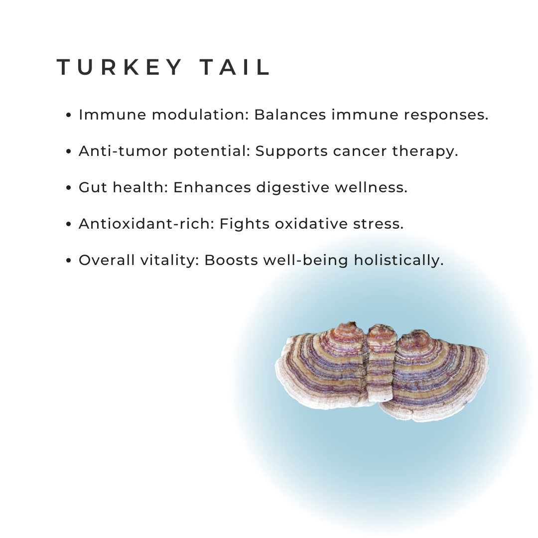 3333 | Turkey Tail