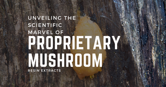 Unveiling the Scientific Marvel of Proprietary Mushroom Resin Extracts