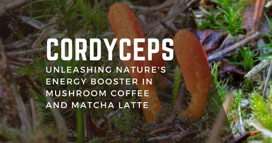 Cordyceps: Unleashing Nature's Energy Booster in Mushroom Coffee and Matcha Latte