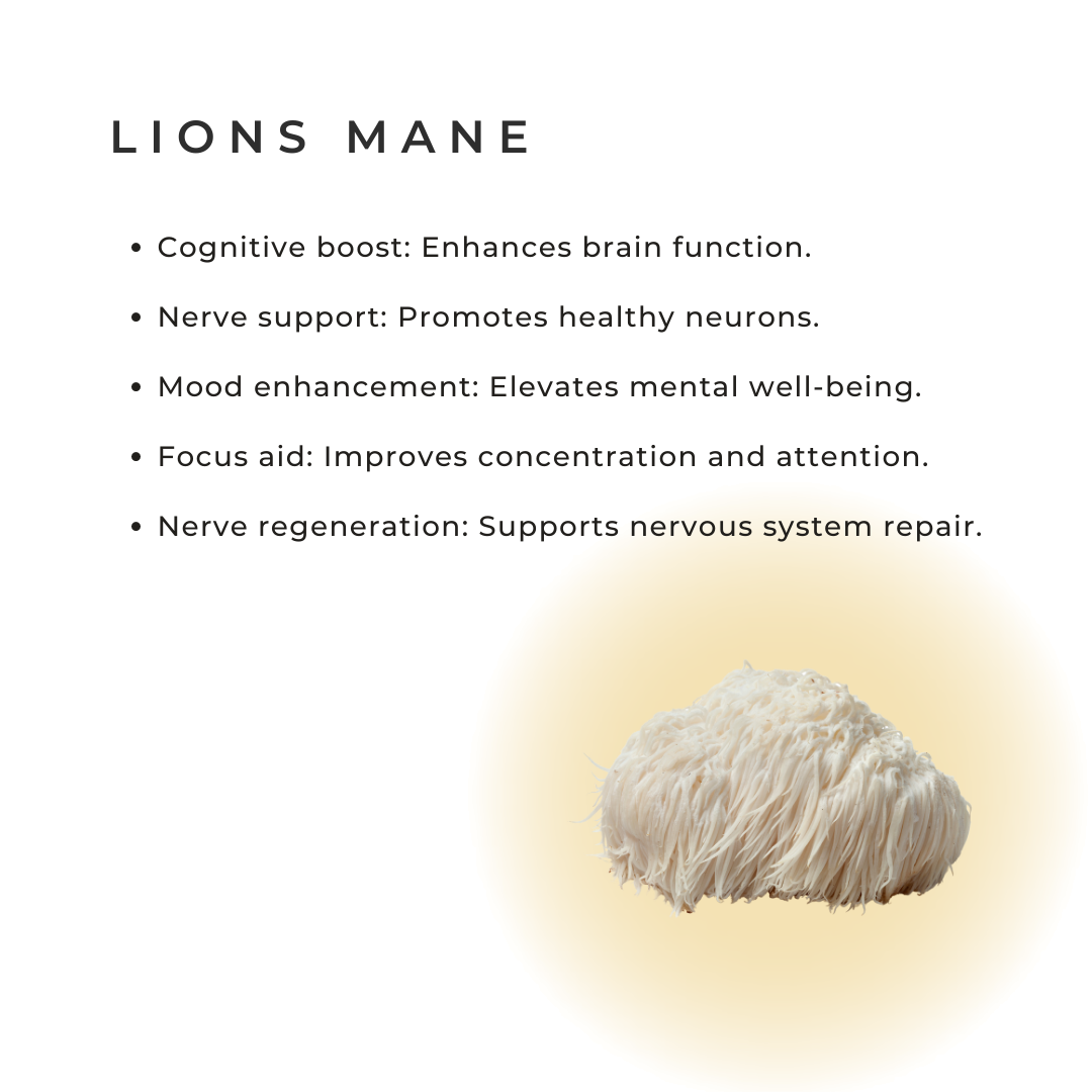1111 | Lions Mane